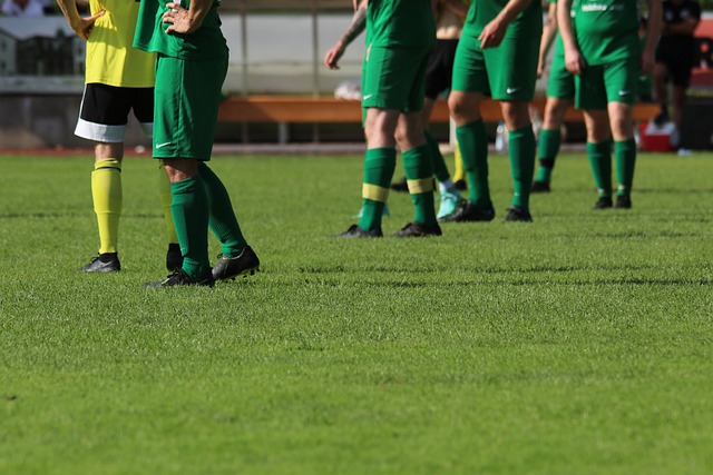 无论是归化 无论是归化