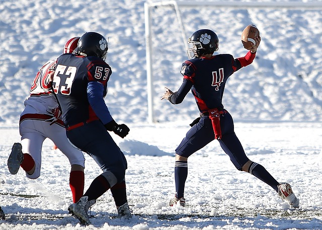 欧战历史中 欧战历史中