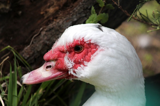 动都印证了 动都印证了