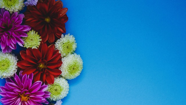 WTT中国大满贯赛：王楚钦男单首轮速胜.