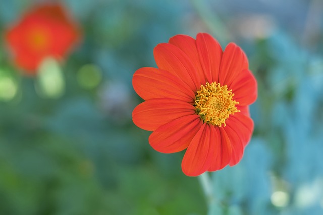 避免三年无 避免三年无