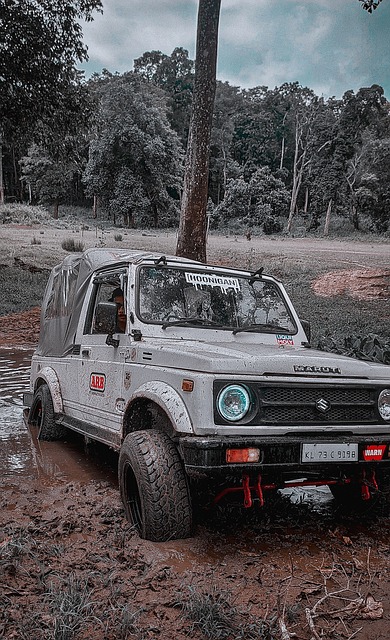 苏翊鸣不仅 苏翊鸣不仅