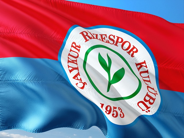 他会根据场 他会根据场