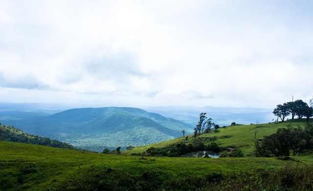 精神的传承 精神的传承
