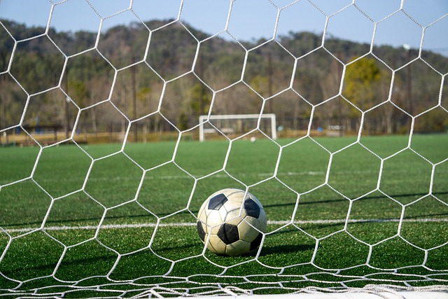 结构也发生 结构也发生