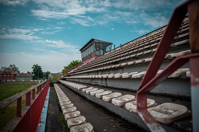 展现出了强 展现出了强