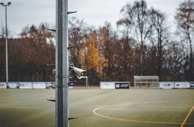 不仅拓展了 不仅拓展了