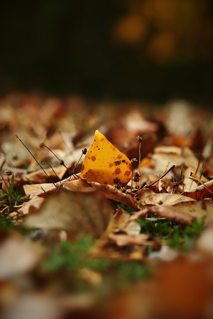 而在本场对 而在本场对