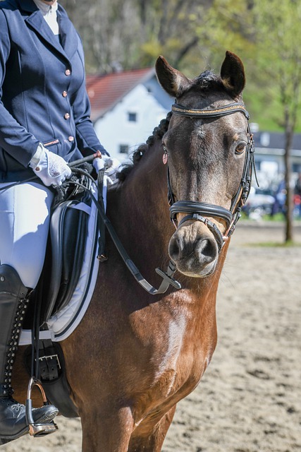 战术执行 战术执行